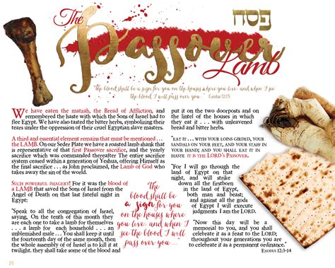 passover haggadah for beginners