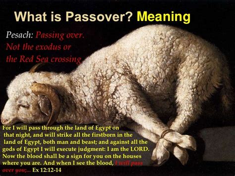 passover lamb meaning