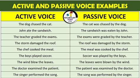 past active and passive voice examples with answers