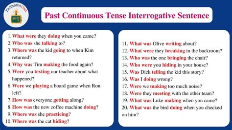 past continuous tense interrogative sentences examples with answers