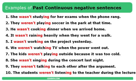 past continuous tense negative example