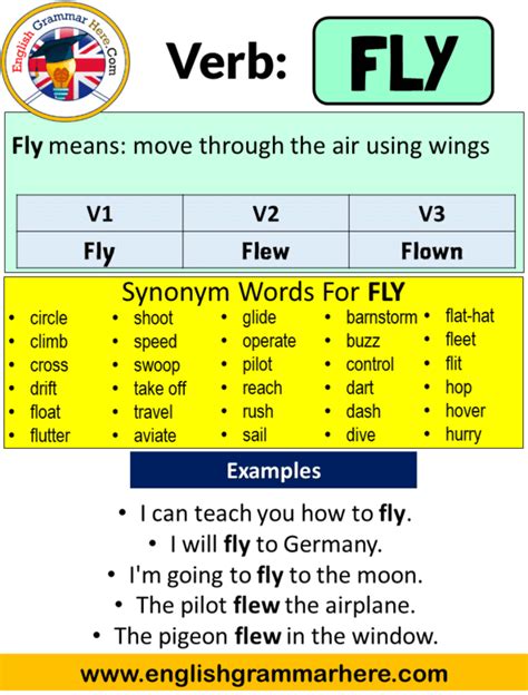 past participle of fly