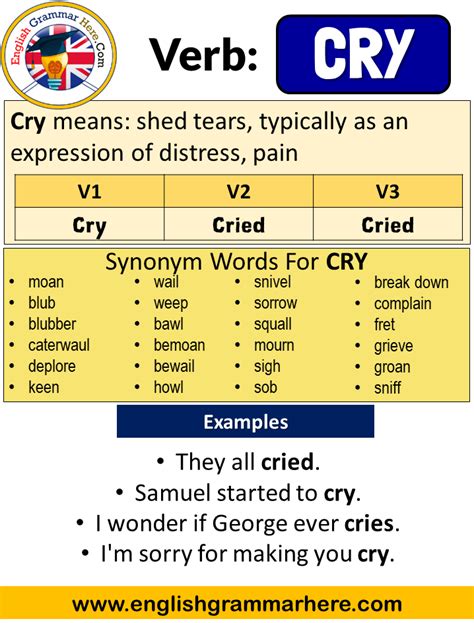 About Past Simple Di Cry References