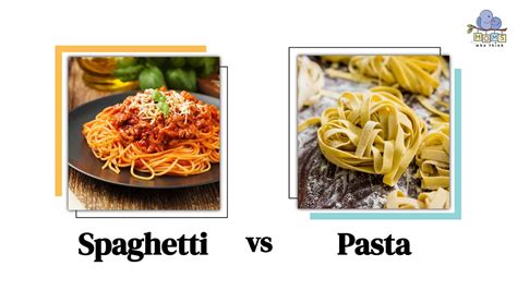 pasta and spaghetti difference