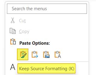 Paste Keep Source Formatting