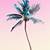 pastel palm tree background