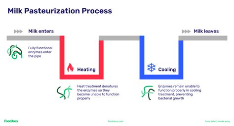 Pasteurization Only Kill