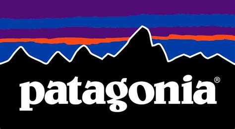 patagonia clothing company