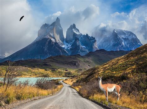 patagonia guided tours