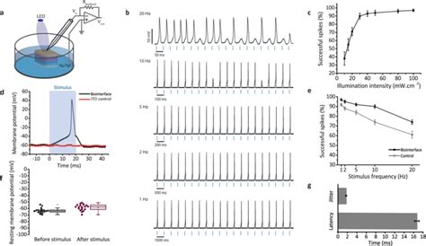 Patch Clamp Electrophysiology Methods And Protocols