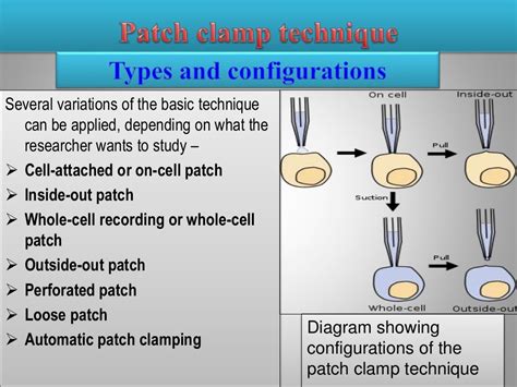 Patch Clamp Technique Description