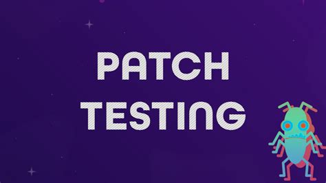 Patch In Software Testing