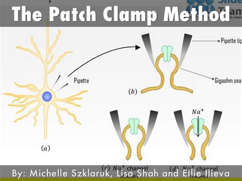 Patch Method Examples