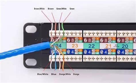 Patch Panel Punch Down Vs Keystone