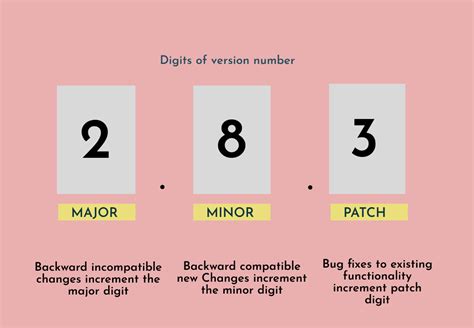 Patch Software Version Number