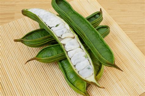 paternas de honduras