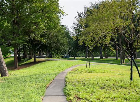 Path through Park