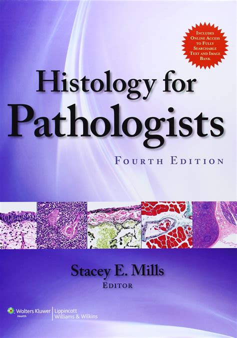 Pathology Outlines Jobs