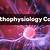 pathophysiology classes online for nurses
