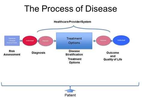 Unravel Disease Secrets: Pathophysiology Insights to Decipher Processes
