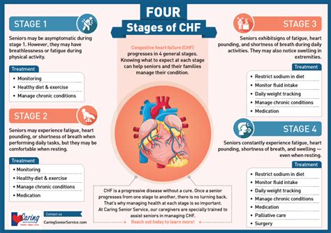 pathophysiology of chf