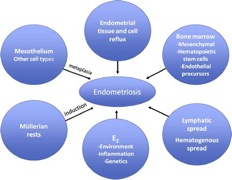 pathophysiology of endometriosis