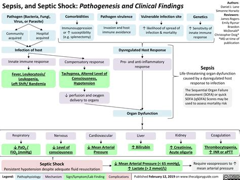 pathophysiology of sepsis and septic shock