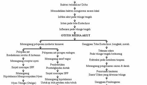 Pathway Otitis Media Akut Oma