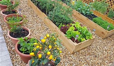 Patio Garden Vegetable Ideas
