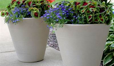 Patio Plant Pots Sale