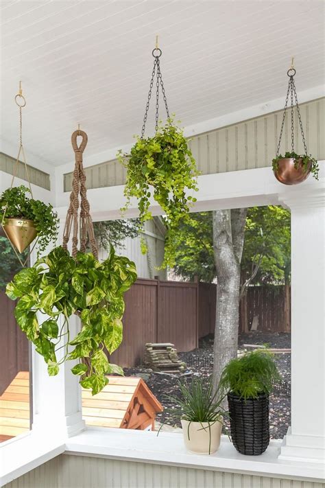 8 Best Outdoor Hanging Plants for Your Patio Family Handyman