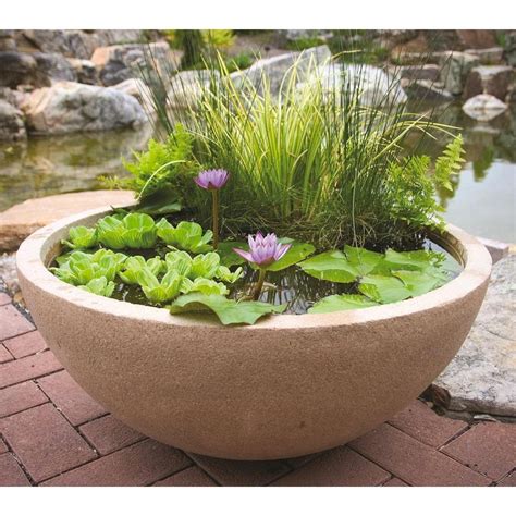 Patio Pond Pot