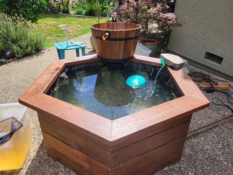 Patio Pond Reddit