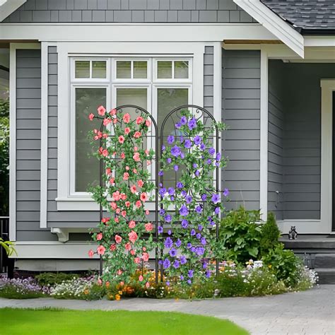 Garden Trellis Ideas to Make Your Garden More Beautiful