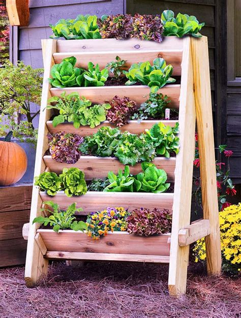 Apartment Patio Vegetable Garden A How To Guide Redwood Living