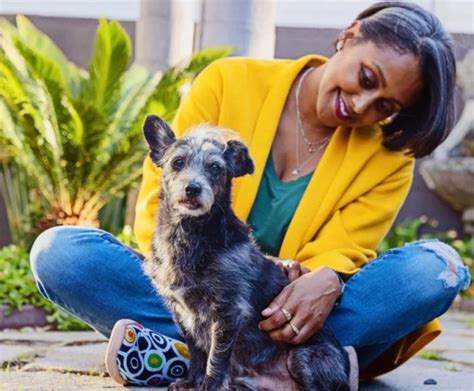 paulding county animal control