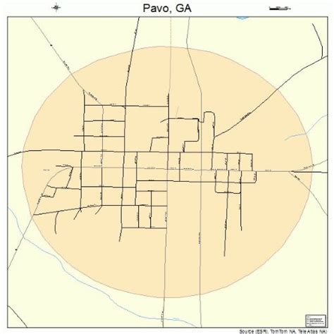 Pavo Road Map