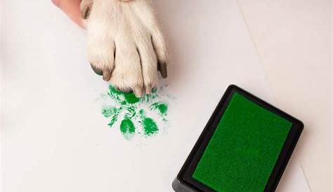 Paw prints Using ink pads. Made paw print with sponges glued onto large