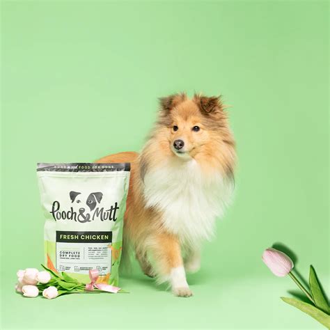 Paw And Mutt Discount Code