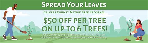 Paw Tree Coupons