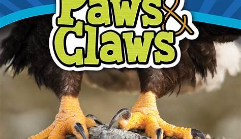 Paws & Claws | Facebook