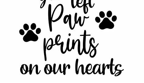 Paw prints on my heart