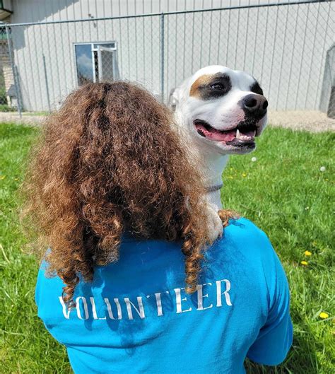 paws of dearborn county