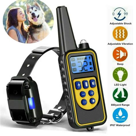 Pawsense Dog Training Collar Amazon