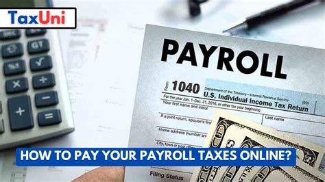 pay business payroll taxes online