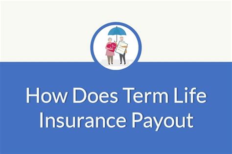 payout term life insurance