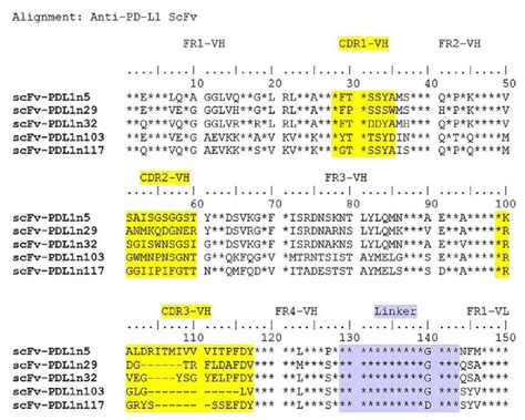 pd-l1 scfv sequence