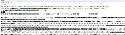 Pdf Is Blank When Downloading Using Javascript