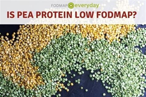 Pea Protein And Fodmap