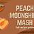 peach brandy moonshine mash recipe